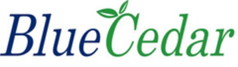 BlueCedar Logo (EUIPO, 12.08.2020)