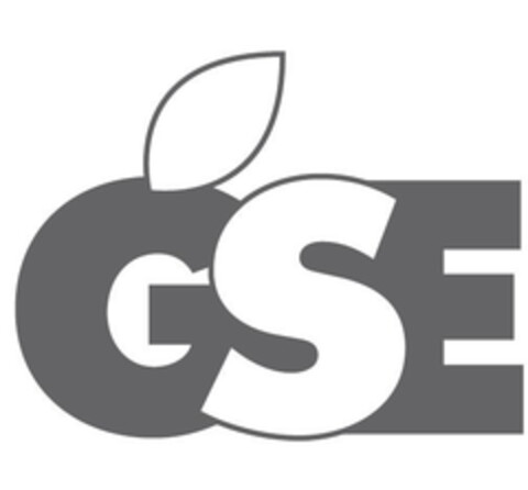 GSE Logo (EUIPO, 09.03.2021)