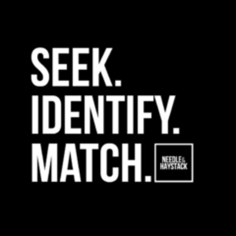 SEEK.IDENTIFY.MATCH. NEEDLE & HAYSTACK Logo (EUIPO, 22.11.2021)