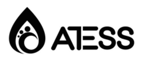 ATESS Logo (EUIPO, 31.05.2024)