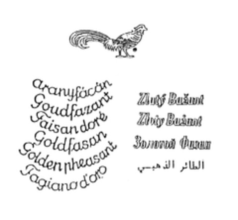 aranyfácán Goudfazant Faisan doré Goldfasan Golden pheasant Fagiano d'oro Zlatý Bažant Zloty Bażant Logo (EUIPO, 19.01.2006)