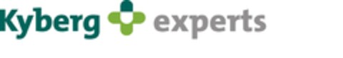 Kyberg experts Logo (EUIPO, 06.07.2016)