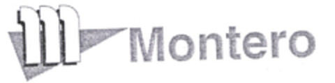 M Montero Logo (EUIPO, 02.04.2004)