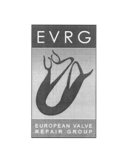 EVRG EUROPEAN VALVE REPAIR GROUP Logo (EUIPO, 12.10.2007)