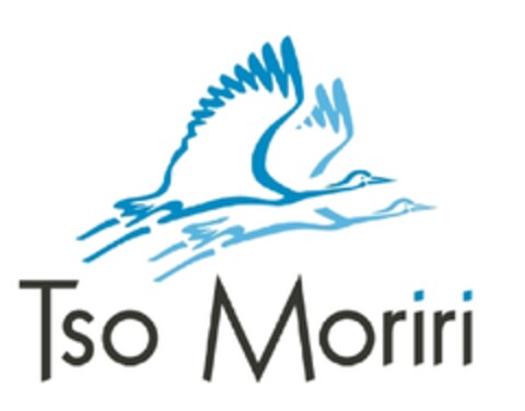 TSO MORIRI Logo (EUIPO, 06.05.2010)