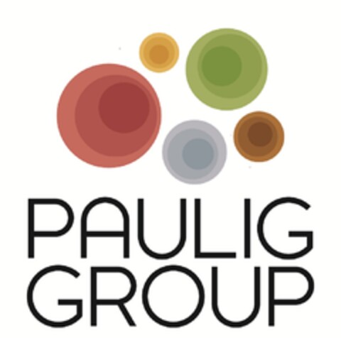 PAULIG GROUP Logo (EUIPO, 18.01.2012)
