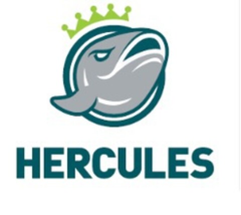 HERCULES Logo (EUIPO, 06/01/2015)