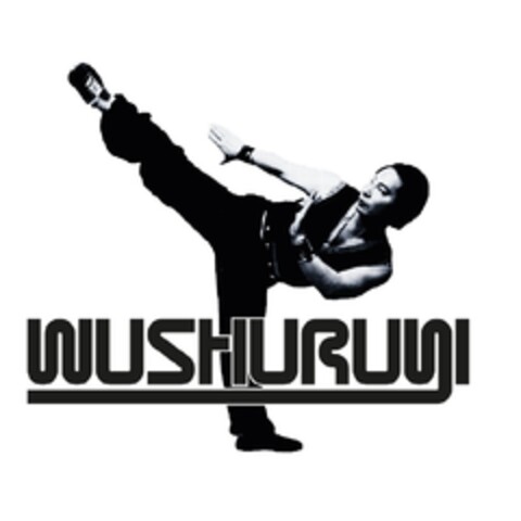 WUSHURU Logo (EUIPO, 29.05.2017)