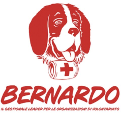 BERNARDO - IL GESTIONALE LEADER PER LE ORGANIZZAZIONI DI VOLONTARIATO Logo (EUIPO, 07.09.2022)