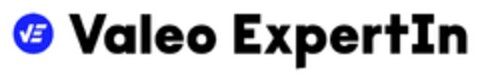 VE Valeo ExpertIn Logo (EUIPO, 09/17/2024)