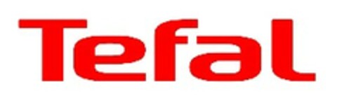 Tefal Logo (EUIPO, 04.04.2007)