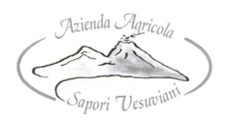 AZIENDA AGRICOLA SAPORI VESUVIANI Logo (EUIPO, 18.11.2010)