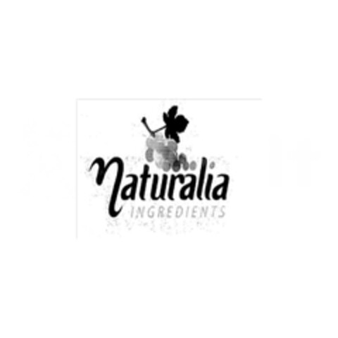 NATURALIA INGREDIENTS Logo (EUIPO, 10/11/2012)