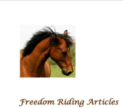 Freedom Riding Articles Logo (EUIPO, 02.07.2013)