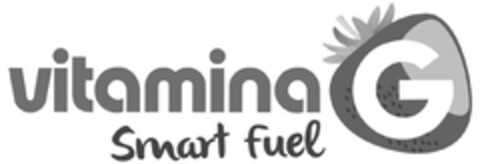 VITAMINA G Logo (EUIPO, 12/02/2016)
