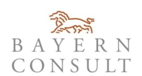 BAYERN CONSULT Logo (EUIPO, 04/01/2020)