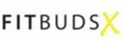 FITBUDSX Logo (EUIPO, 11/25/2021)