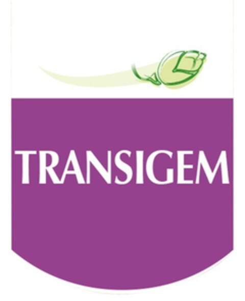 TRANSIGEM Logo (EUIPO, 12/02/2016)