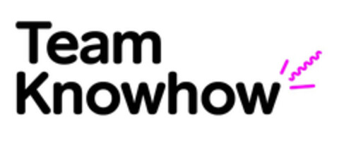 TEAM KNOWHOW Logo (EUIPO, 02.06.2017)