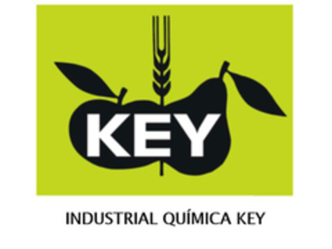KEY INDUSTRIAL QUÍMICA KEY Logo (EUIPO, 23.02.2018)