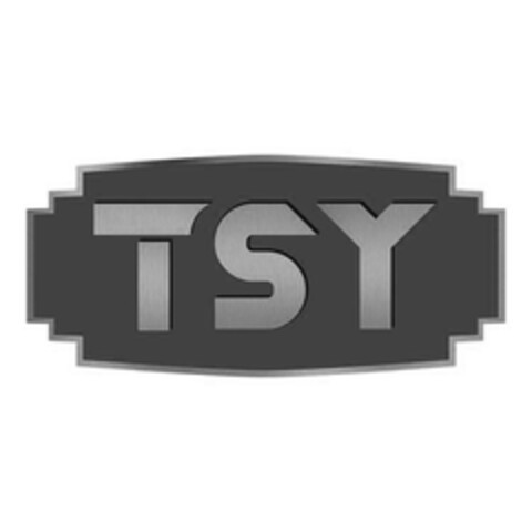 TSY Logo (EUIPO, 10/27/2023)