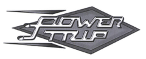 POWER TRIP Logo (EUIPO, 21.01.2004)