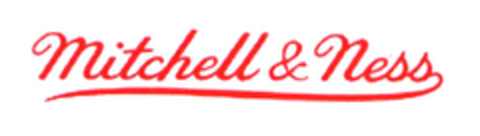 Mitchell & Ness Logo (EUIPO, 02.02.2004)