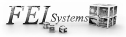 FEI Systems Logo (EUIPO, 10/31/2011)