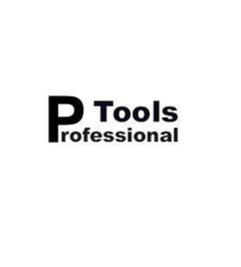 Professional Tools Logo (EUIPO, 03.06.2015)