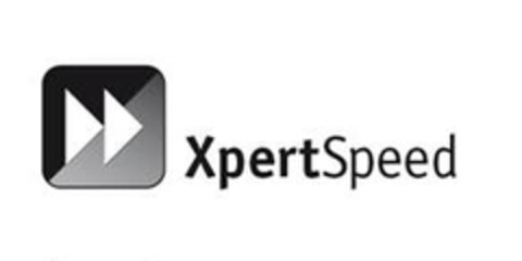 XpertSpeed Logo (EUIPO, 10.06.2015)