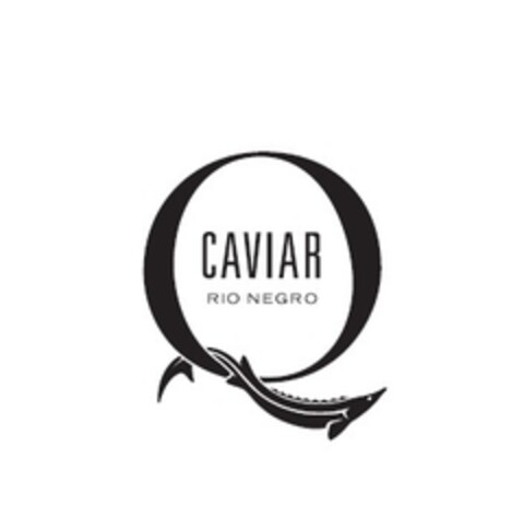 Q CAVIAR RIO NEGRO Logo (EUIPO, 04.01.2016)