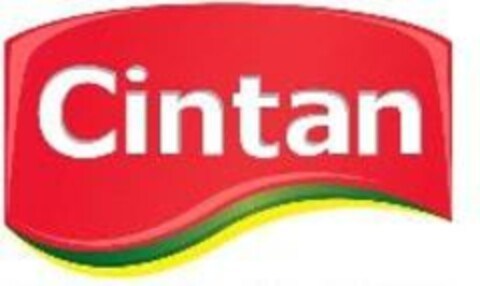 Cintan Logo (EUIPO, 08.05.2018)