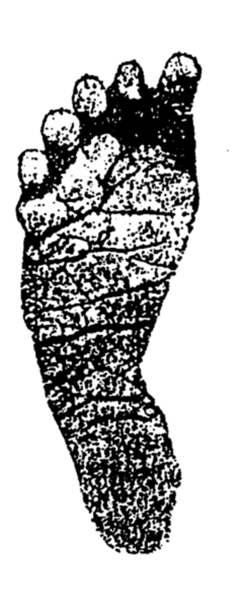  Logo (EUIPO, 03.01.1997)