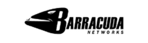BARRACUDA NETWORKS Logo (EUIPO, 04/08/2013)