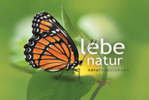 LEBE NATUR NATURSUBSTANZEN Logo (EUIPO, 19.03.2015)