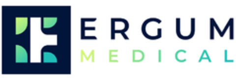 ERGUM MEDICAL Logo (EUIPO, 09/02/2020)
