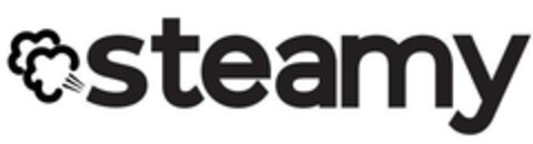 STEAMY Logo (EUIPO, 07/20/2023)