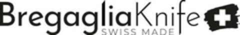 BregagliaKnife swiss made Logo (EUIPO, 11/16/2023)