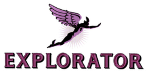 EXPLORATOR Logo (EUIPO, 02/21/2003)