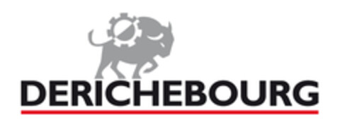 DERICHEBOURG Logo (EUIPO, 09/19/2007)