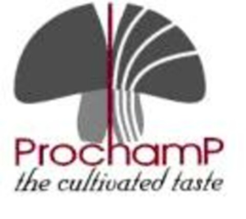 ProchamP the cultivated taste Logo (EUIPO, 10/23/2007)