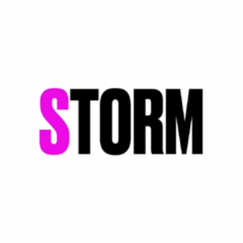 STORM Logo (EUIPO, 24.03.2021)