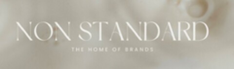 NON STANDARD THE HOME OF BRANDS Logo (EUIPO, 09.03.2023)