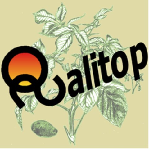 Qualitop Logo (EUIPO, 09/15/2015)