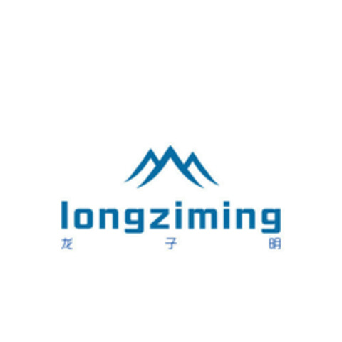 longziming Logo (EUIPO, 24.06.2019)