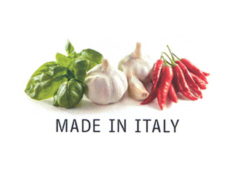 MADE IN ITALY Logo (EUIPO, 26.07.2006)