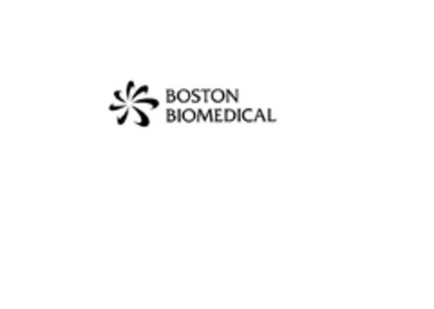 BOSTON BIOMEDICAL Logo (EUIPO, 03.12.2012)