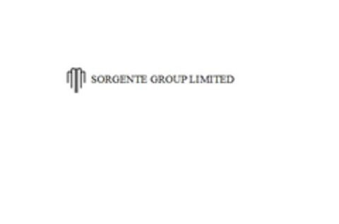 SORGENTE GROUP LIMITED Logo (EUIPO, 08/08/2014)