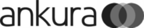 ankura Logo (EUIPO, 09/01/2021)