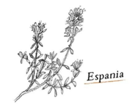 Espania Logo (EUIPO, 02.02.2024)